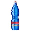 Magnesia GO 0,75l - PET