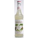 Monin Coco - kokosový sirup 1l