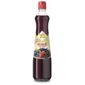 YO sirup lesní plody 0,7l - PET