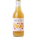 Bacilli Fizzy Ginger 0,33l sklo