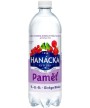 Hanácká Kyselka Paměť červený & černý rybíz 0,7l - PET