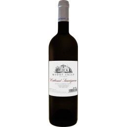Cabernet Sauvignon 0,75l - Modrý Sklep