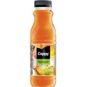 Cappy multivitamín 0,33l - PET